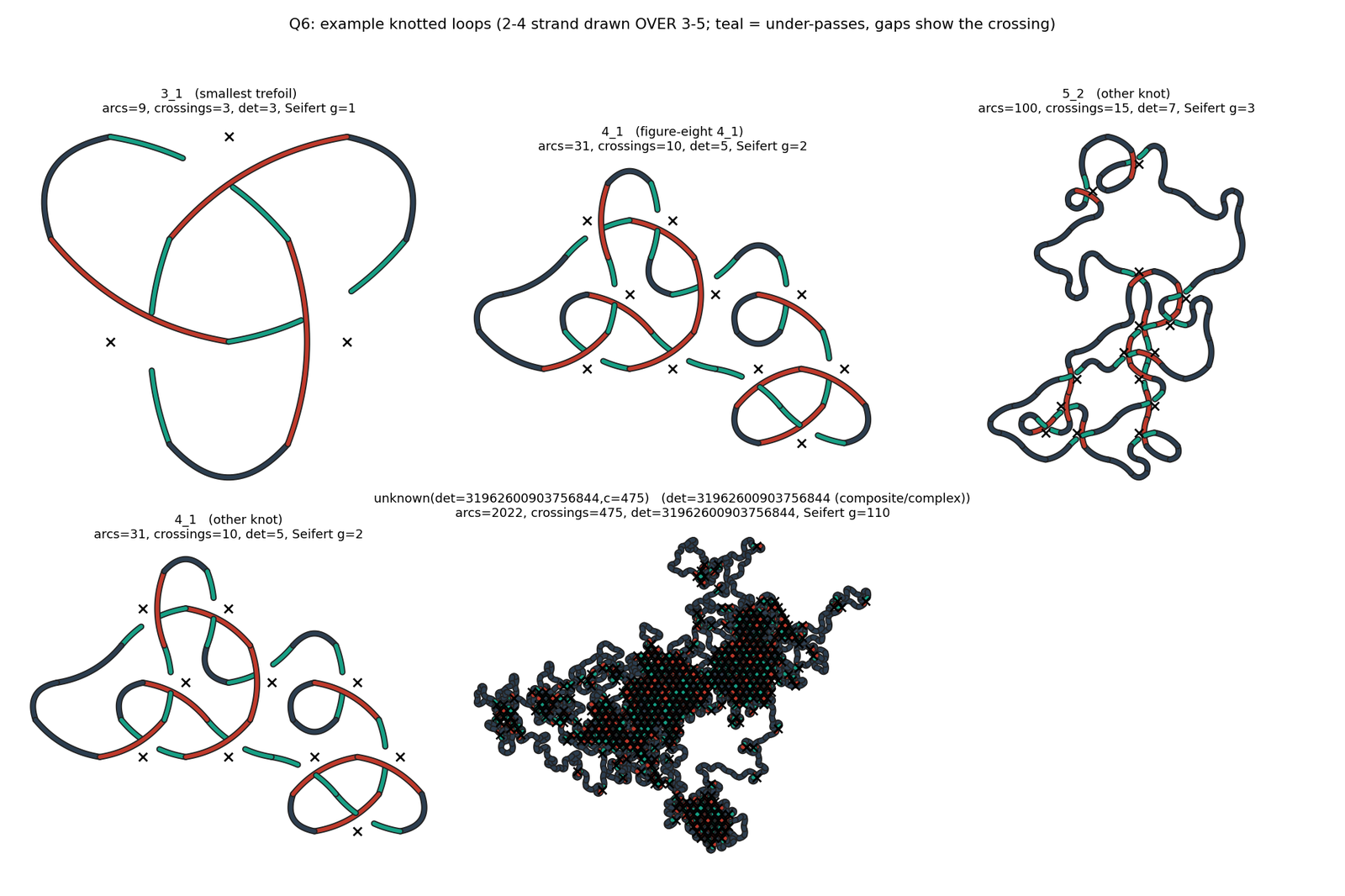 Knot examples: trefoil and other knot types found in loops
